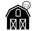 Schweineställen